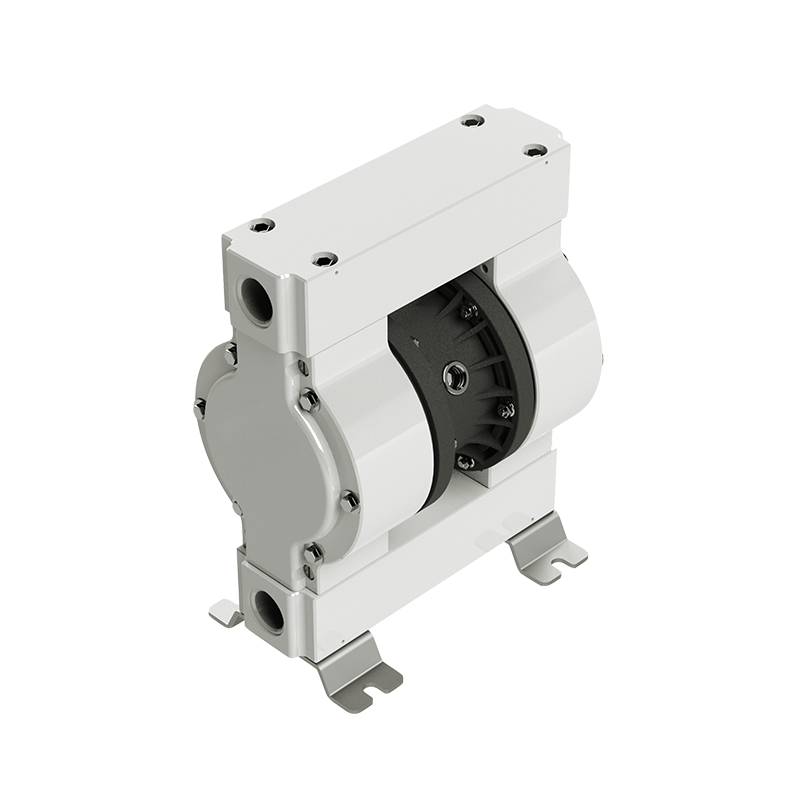 5238-030 Double diaphragm pump DMP model 1" PEE PURE