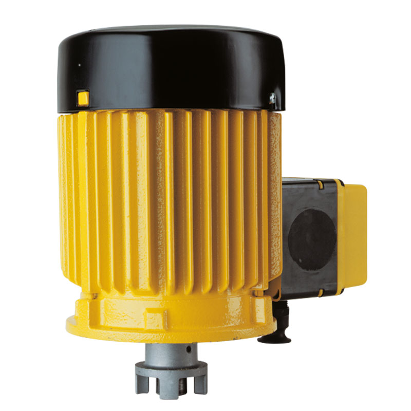 B6_Motor Three-phase motor