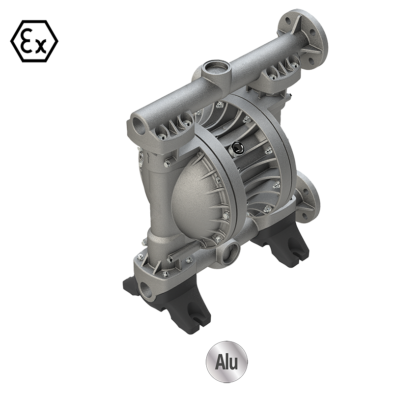 Evora LDE 2000 (2") double diaphragm air-operated pump