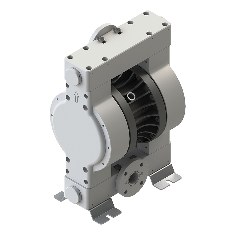 5258-030 Double diaphragm pump DMP model 2" PEE PURE